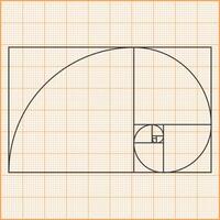 Graph paper with golden ratio illustration vector