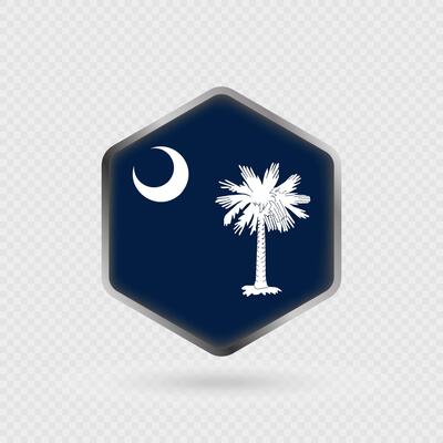 South Carolina State Flag Icon in Hexagon Shape.