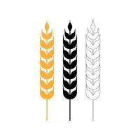 wheat grain cereal icon design template vector