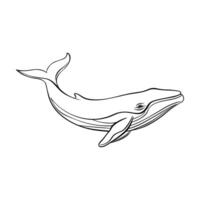 Outline while icon. Realistic sketch, minimal animal doodle. Line art, logo design vector