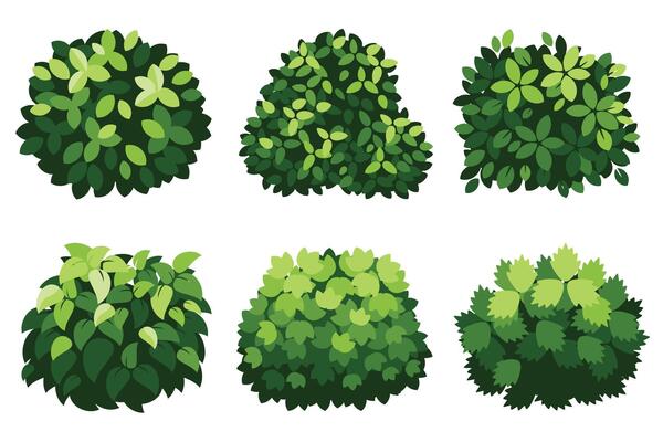 Various Green Bushes
