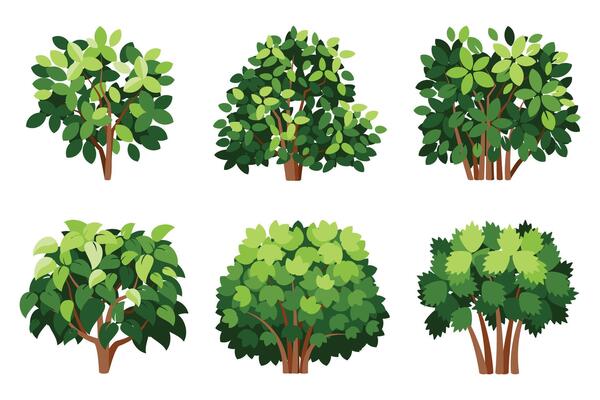 Various Green Bushes and Shrub
