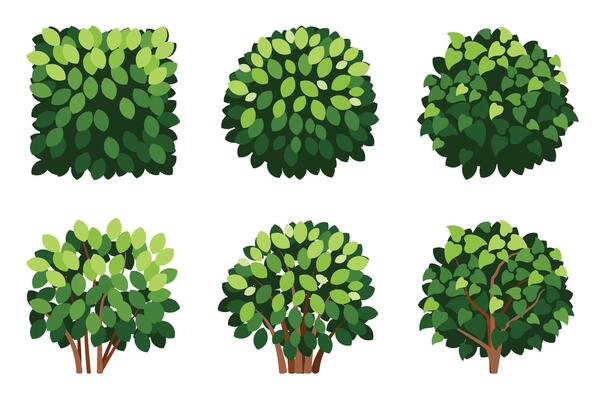 Cartoon Tree Set and Bushes