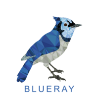 Poly Geometric Triangular Blu Ray Bird Abstract Art png