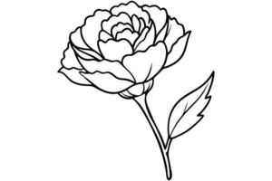 Elegant Line Drawing of a Single Blooming Peony Flower on a White Background, Evoking a Serene and Graceful Mood vector