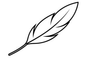 Elegant Single Line Drawing of a Delicate Bird Feather on White Background, Simple Minimalist Design, Perfect for Nature-Themed Projects vector