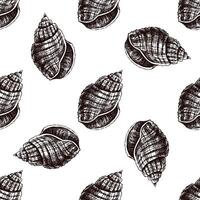Hand drawn vintage seamless pattern of textured spiral seashell in brown ink engraving style, ocean sketch illustration vector