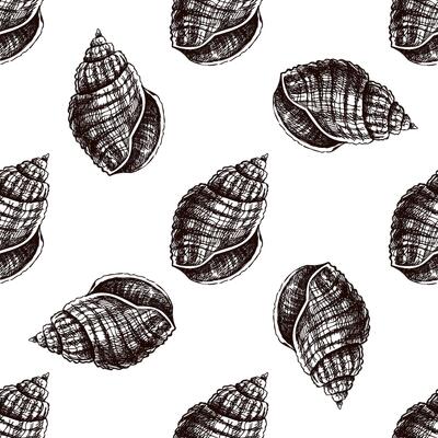Hand drawn vintage seamless pattern of textured spiral seashell in brown ink engraving style, ocean sketch illustration