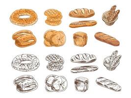 Hand drawn vintage sketch of assorted bakery bread set in color and monochrome version, engraving brown ink style vector