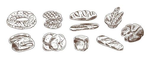 Hand drawn vintage sketch of assorted bakery bread collection in monochrome version, brown ink engraving style vector
