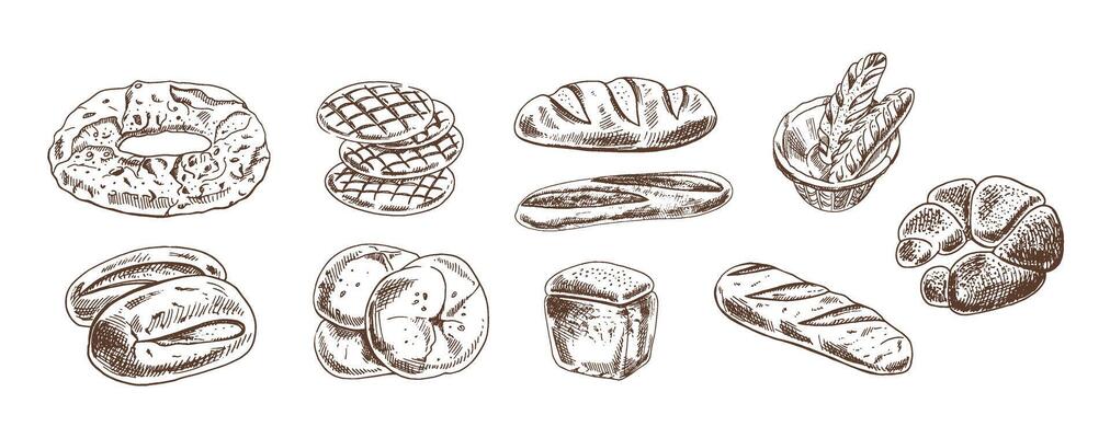 Hand drawn vintage sketch of assorted bakery bread collection in monochrome version, brown ink engraving style
