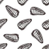 Hand drawn vintage seamless pattern of triangular seashell in brown ink engraving style, coastal marine sketch illustration vector