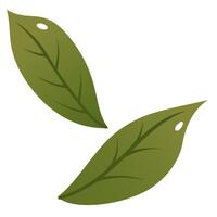 Minimal Green Leaf Illustration. Simple Botanical Leaf Drawing vector
