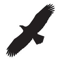 Silhouette of an eagle soaring in flight against a clean white background illustrative art vector