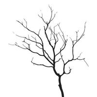 Black silhouette of a bare tree branch isolated on a white background for design vector