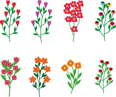 A collection of colorful spring flowers. Floral arrangement of wildflowers on a white background
