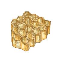 Honeycomb isolated on white background. Hexagonal prismatic wax cells built by bees for honey storage. Decorative design element. Colorful hand drawn illustration in elegant antique style. vector