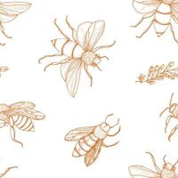 Elegant seamless pattern with honey bees hand drawn with contour lines on white background. Apiculture or beekeeping backdrop. Monochrome illustration in antique engraving style for wallpaper. vector