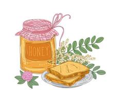 Decorative composition with jar of sweet honey, pair of toasts lying on plate, acacia branch and clover flower isolated on white background. Colorful hand drawn illustration in vintage style. vector