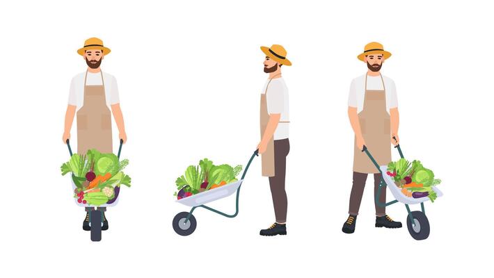 Farmer or agricultural worker pulling wheelbarrow full of gathered crops. Male cartoon character isolated on white background. Front, back and side views. Colorful illustration in flat style.