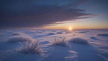 Frozen Tundra at Sunrise with Snowy Grass and Dramatic Sky photo