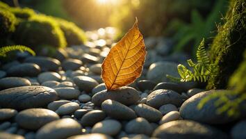 Single Autumn Leaf Resting on Pebbles with Fern and Moss Backdrop photo