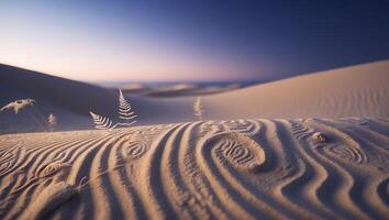 Serene Sand Dune Landscape with Ferns and Sunset Sky photo