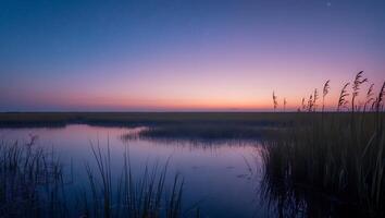 Marsh Landscape at Twilight with Starry Sky and Water Reflection photo
