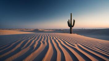 Solitary Cactus in a Vast Desert Landscape with Sand Dune Patterns photo