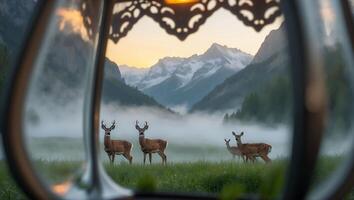 Deer Grazing in Mountain Meadow Framed by Ornate Window at Sunset photo