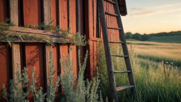 Wooden Ladder Leaning Against Rustic Building in a Field at Sunset photo