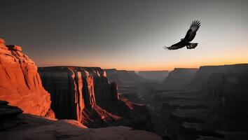 Eagle Flying Over Canyon at Sunset with Dramatic Sky Scenery photo