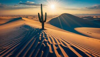 Cactus Standing in Desert Sand Dunes at Sunset with Bright Sun photo