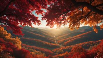 Autumn Forest at Sunset with Colorful Trees and Mountain Vista photo