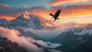 Eagle Soaring Over Snow Covered Mountain Range at Colorful Sunset photo