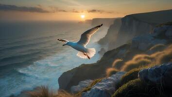 Seagull Flying Over Ocean Cliffs During Golden Sunset Hour photo