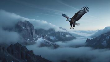 Eagle Soaring Above Misty Mountains and Clouds Majestic Flight Scene photo