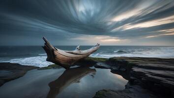 Driftwood Reflections on Coastal Rocks at Dusk with Dramatic Sky photo