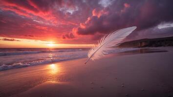 Feather Floating Above Sandy Beach at Sunset with Vibrant Sky photo
