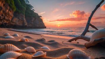 Seashells on Sandy Beach at Sunset with Cliffside and Driftwood photo