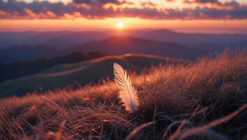 Feather in Grass at Sunset with Mountain Views and Warm Light photo