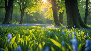 Walking Through Meadow with Bluebells and Trees During Sunlit Spring photo
