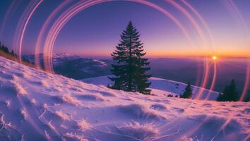 Winter Wonderland Sunset Scene with Pine Tree and Snowscape photo