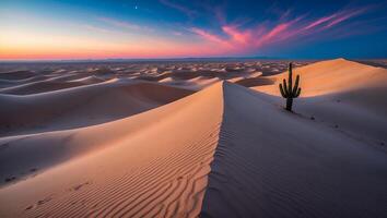 Sand Dune Landscape at Sunset with Cactus and Colorful Sky photo