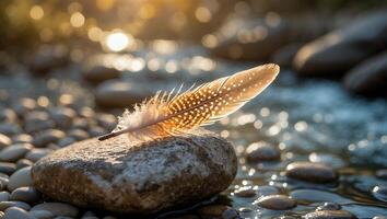 Feather Resting on River Stone at Sunset Creates Tranquil Scene photo