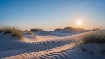 Sand Dune Landscape with Grass and Setting Sun on Clear Sky photo