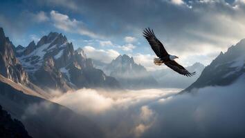 Bald Eagle Flying Over Mountain Range with Low Lying Clouds photo