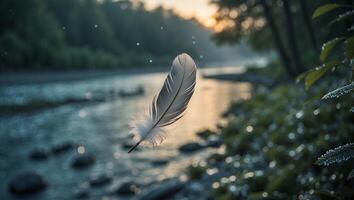 A feather floating in the water near a river photo