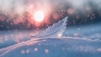 Icy Feather Resting on Snow with Sun and Bokeh Background photo