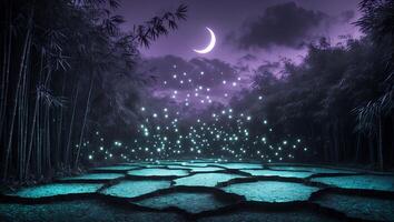 Glowing Lights Over Rice Fields Under a Crescent Moon at Night photo